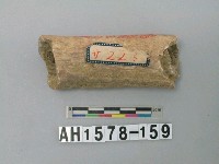 藏品(獸骨)的圖片